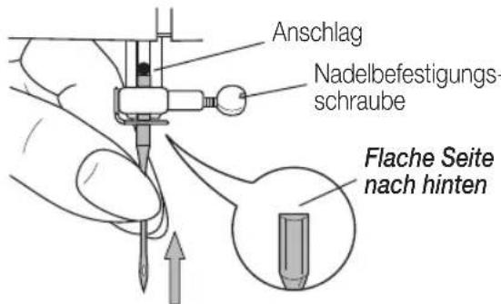 MIO STAR M20 Jubilee - Nadel einsetzen - 1