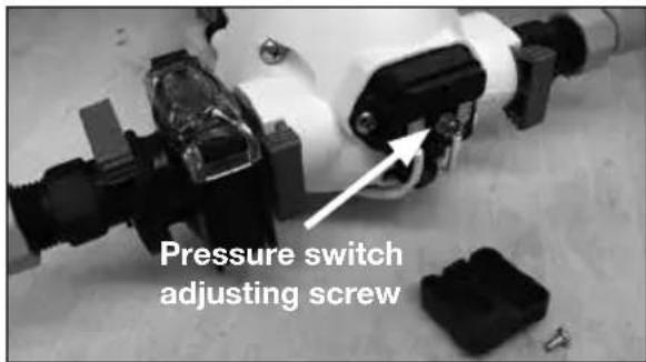 Pressure switch adjusting screw