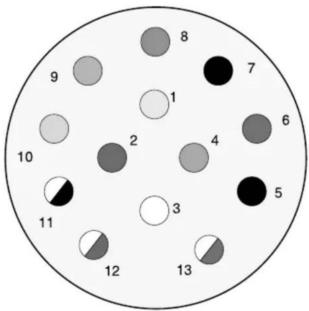 Swift Conqueror (2015) - Pin socket - 1