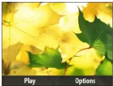Play Options