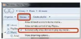 SAMSUNG NP-NF110 - ▶ For Windows Media Player 12 - 1