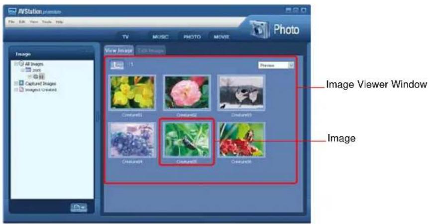 SAMSUNG NP-G10 - Viewing an Image - 1