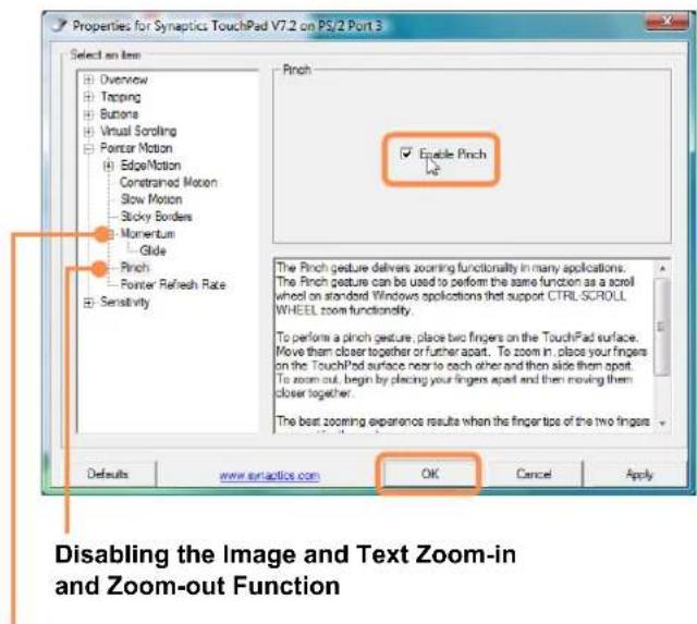 SAMSUNG NP-X460 - Disabling the Gesture Function - 1