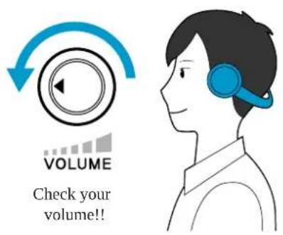 SAMSUNG NP-Q210 - Volume Control (Headphones and Speakers) - 1
