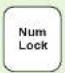 SAMSUNG NP305V5AI - Numeric Key (For 15.6 inch models) - 1