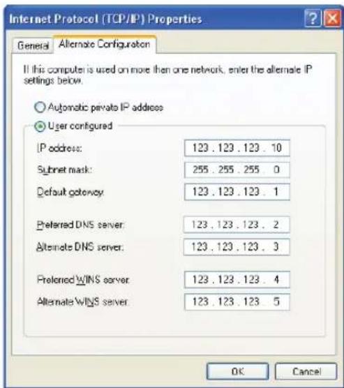 SAMSUNG NP20FP070G - Using Both DHCP and Static IP Simultaneously - 2