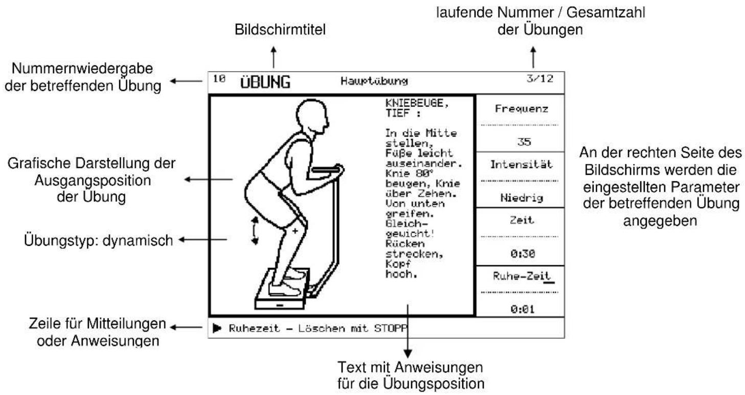 Sport-Tec Gymna - Der Übungsbildschirm - 1