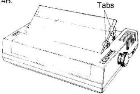 4D. Tabs
