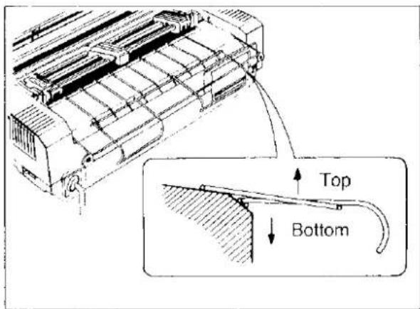 Top Bottom