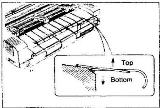 Top Bottom