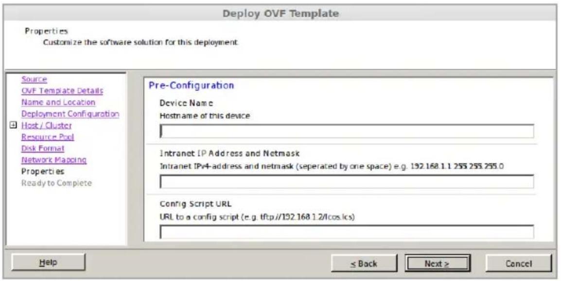 LANCOM vRouter 250 - Installation on the VMware ESXi Server - 13