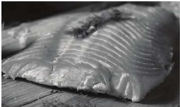 Char-Broil 14202002 - Fish Recipes - 1