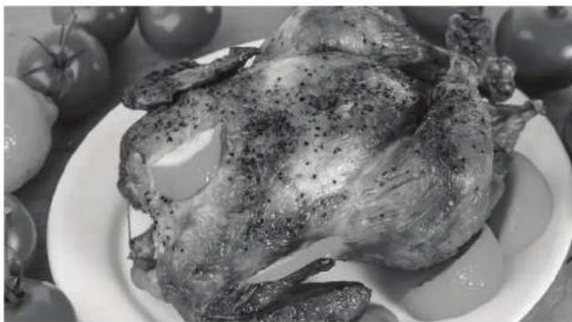 Char-Broil 14202002 - Directions for chicken: - 2