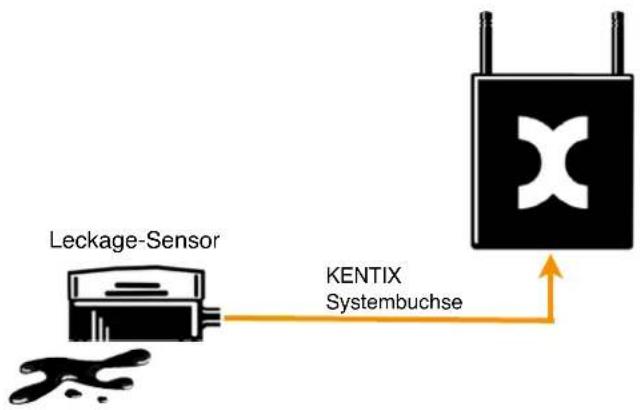 Kentix KXC-KN2 - Anschlussbeispiel 1: Leckagesensor am AlarmManager oder MultiSensor - 1