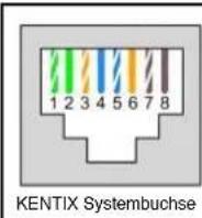Kentix KIO7053 - Kentix-Systembuchse am MultiSensor-RACK - 1