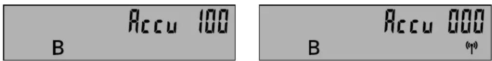 Hagenuk HomeHandy clou - Das Display - 1