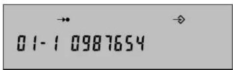 Hagenuk EuroPhone S - Beispiel: Programmierung - 6