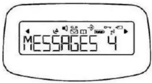 Hagenuk BIG 550 Dect - LC-Display - 1