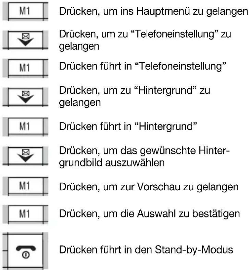 Hagenuk Fono c200 - Hintergrund - 1