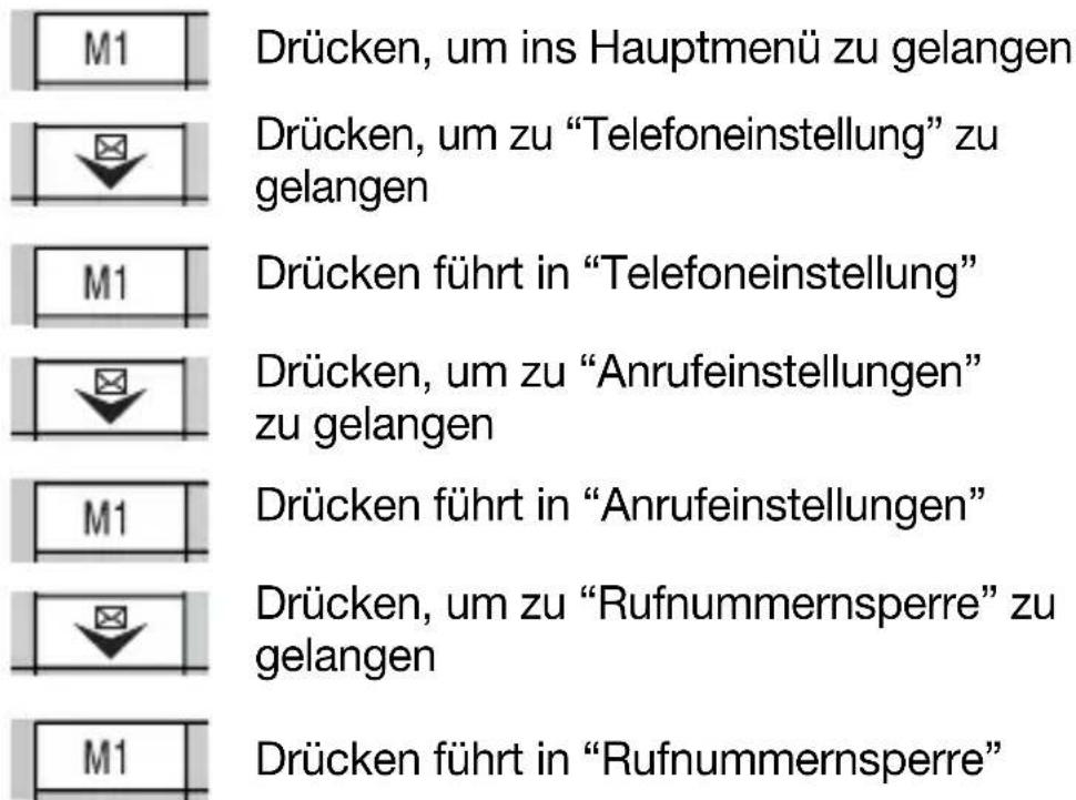 Hagenuk Fono c200 - - Passwort ändern - 1