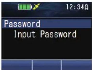 Password Input Password