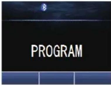 PROGRAM