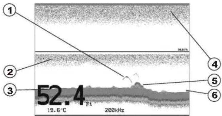 Standard Horizon CPF390i - Understanding the Fish Finder display - 1