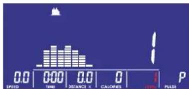 VirtuFit iConsole Total Fit - PROGRAM MODE - 2