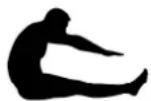 Flow Fitness Perform B3i - Lower back stretch - 1