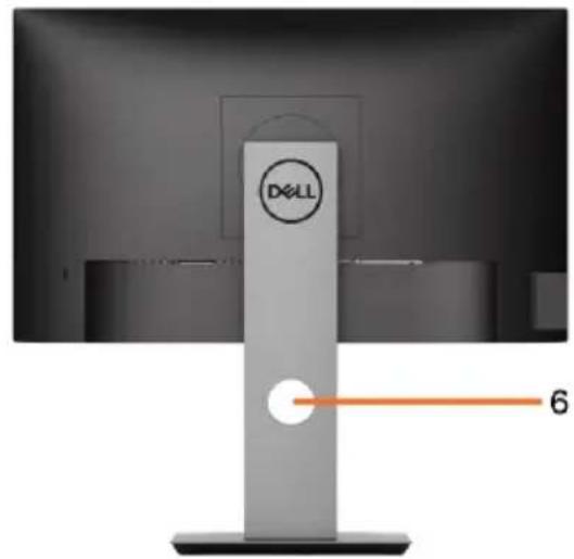 DELL P2219HC - Teile und Bedienelemente - 3