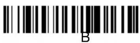 B