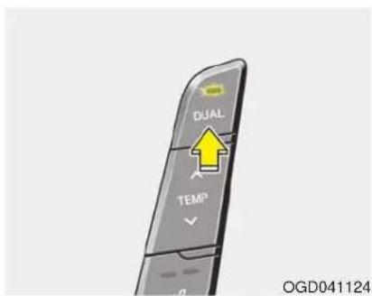 DUAL TEMP OGD041124