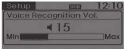 Setup USB 12:10 Voice Recognition Vol. 15 Min Max