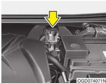 HYUNDAI Elantra GT (2017) - BRAKE/CLUTCH FLUID - 1