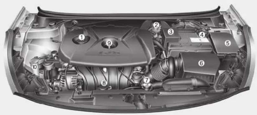 Technical diagram of a car engine bay with numbered components for identification