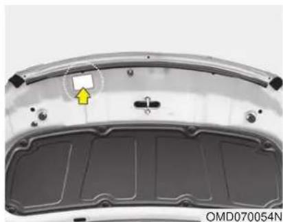 HYUNDAI Elantra GT (2017) - REFRIGERANT LABEL - 1