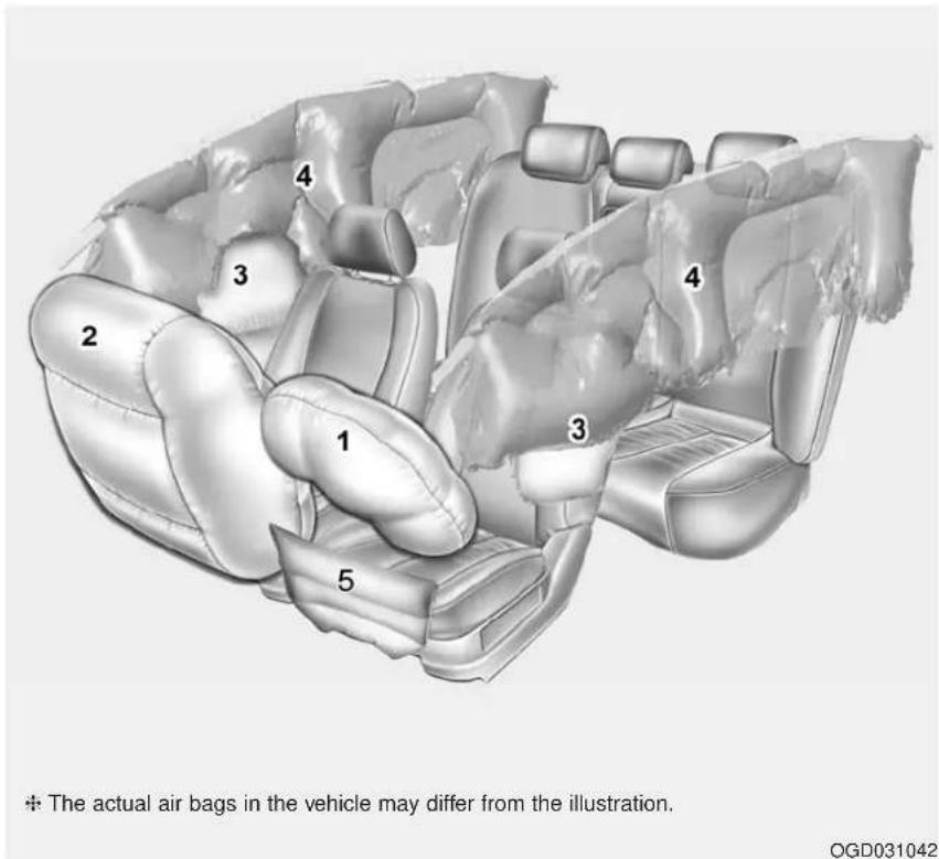 The actual air bags in the vehicle may differ from the illustration. OGD031042
