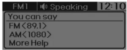 FM1 Speaking 12:10 You can say FM<89.1> AM<1080> More Help
