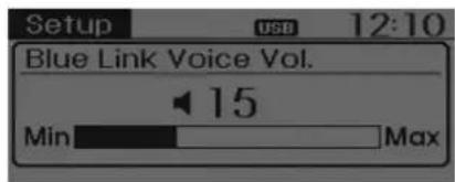 Setup USB 12:10 Blue Link Voice Vol. 15 Min Max