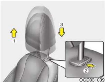 1 3 2 OGD031009