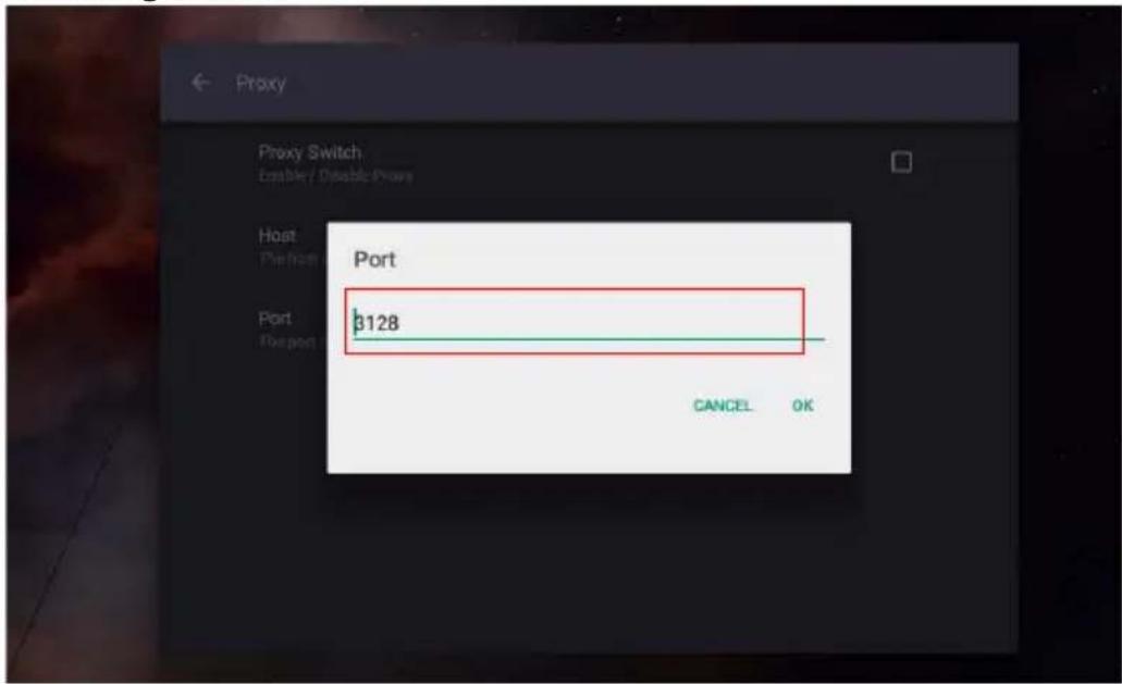 BENQ RP8601K - Proxy setting - 4