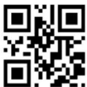 Hamlet HBCS2D100U - CodeBar - 8