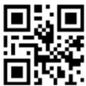 Hamlet HBCS2D100U - CodeBar - 2