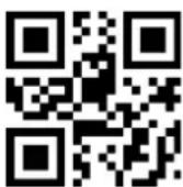 Hamlet HBCS2D100U - CodeBar - 5