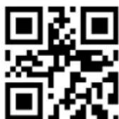 Hamlet HBCS2D100U - Code93 - 4