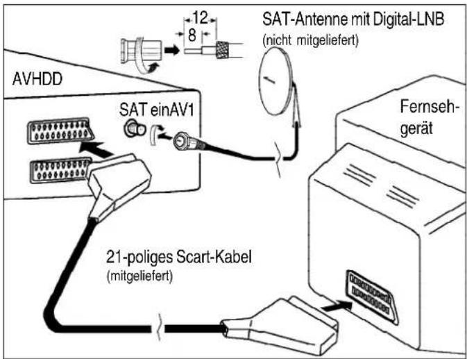 AVHDD SAT einAV1 21-poliges Scart-Kabel (mitgeliefert) SAT-Antenne mit Digital-LNB (nicht mitgeliefert) Fernseh- gerät 12 8