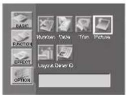 BASIC FUNCTION EFFECT OPTION Number: Data Trim: Picture Layout Owner ID