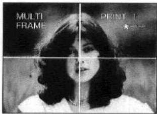 PANASONIC NV-MPD1B - Printing for 16 Mini-frame Pictures - 14