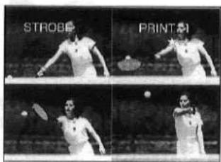 STROBB PRINT