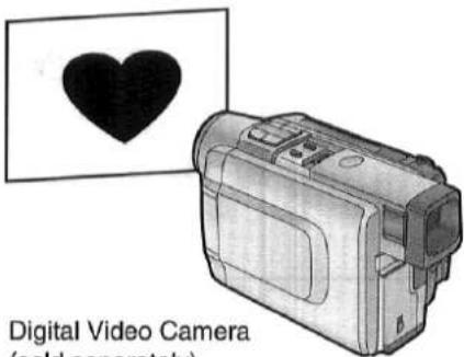 Digital Video Camera (gold generate)